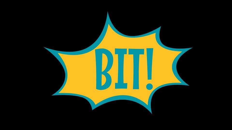 Bit